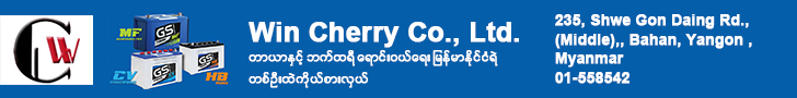 Battery_WnCherry